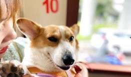 豚豚娱乐吃瓜小八卦,揭秘娱乐圈吃瓜小八卦背后的真相